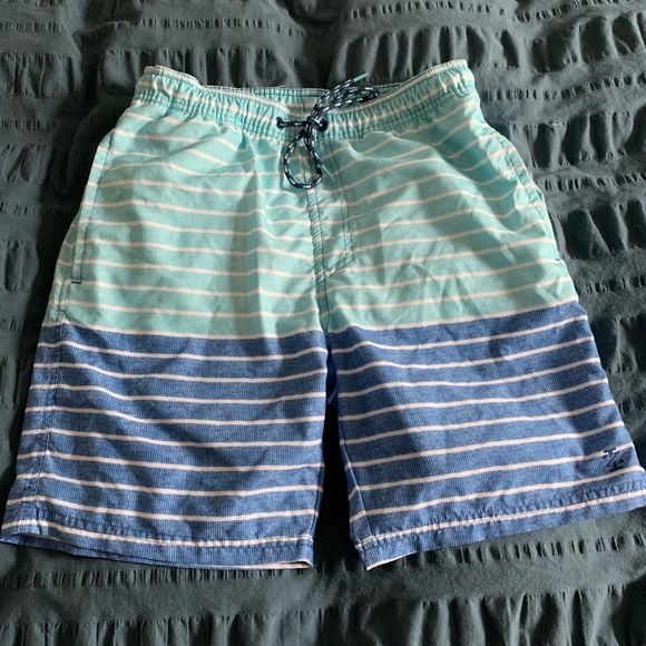 izod swim trunks
